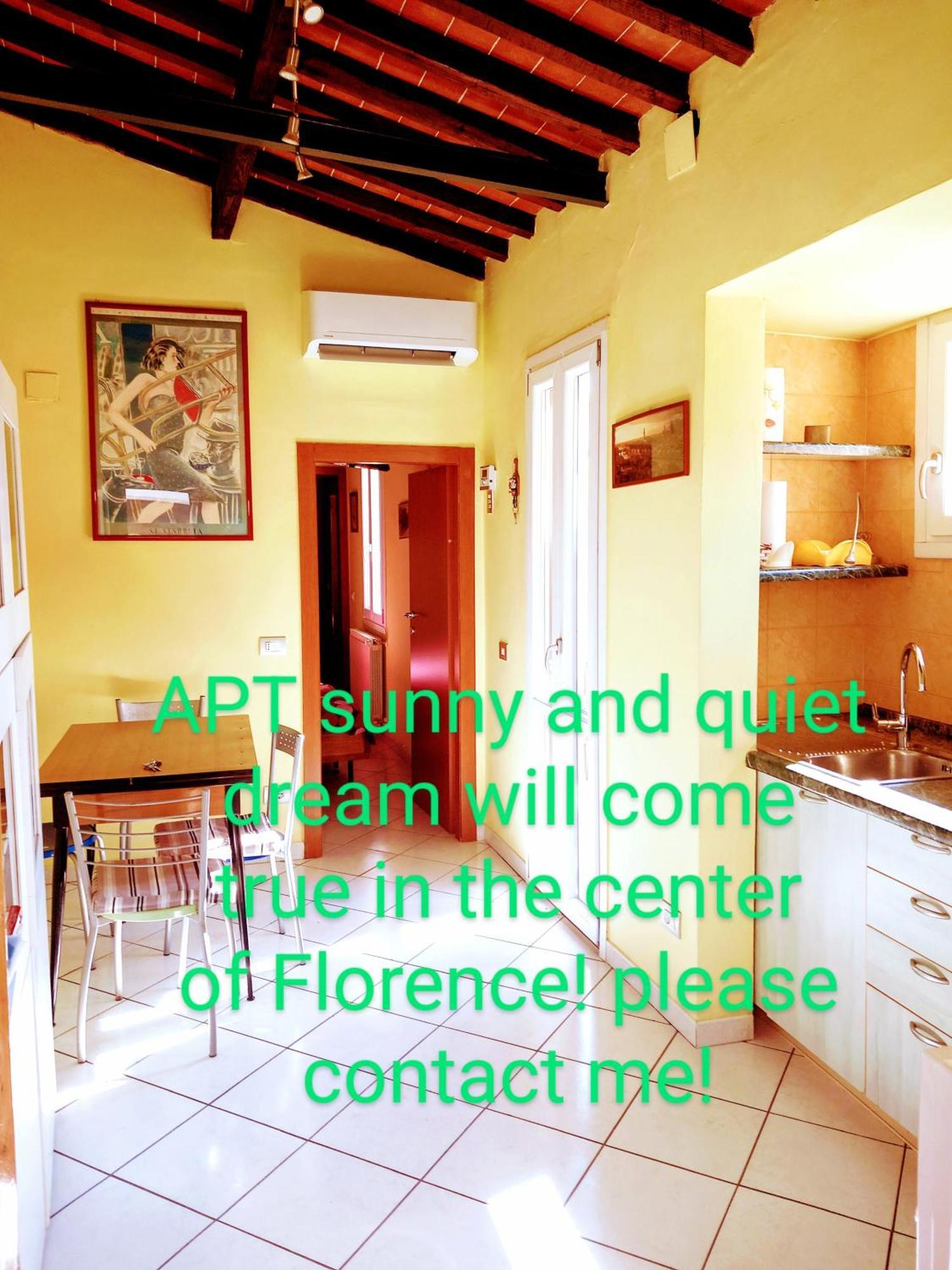 Bright, Quiet! In The Center. Apartamento Florencia